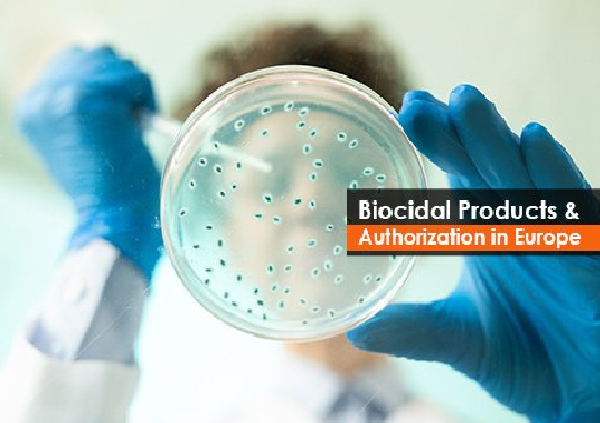 Biocidal Product Authorisation